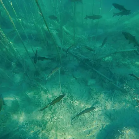 אתר קמפינג Stunning Stacaravan In 3*