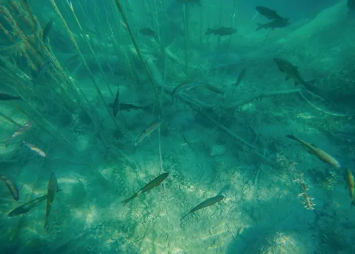 营地 Stunning Stacaravan In 3*